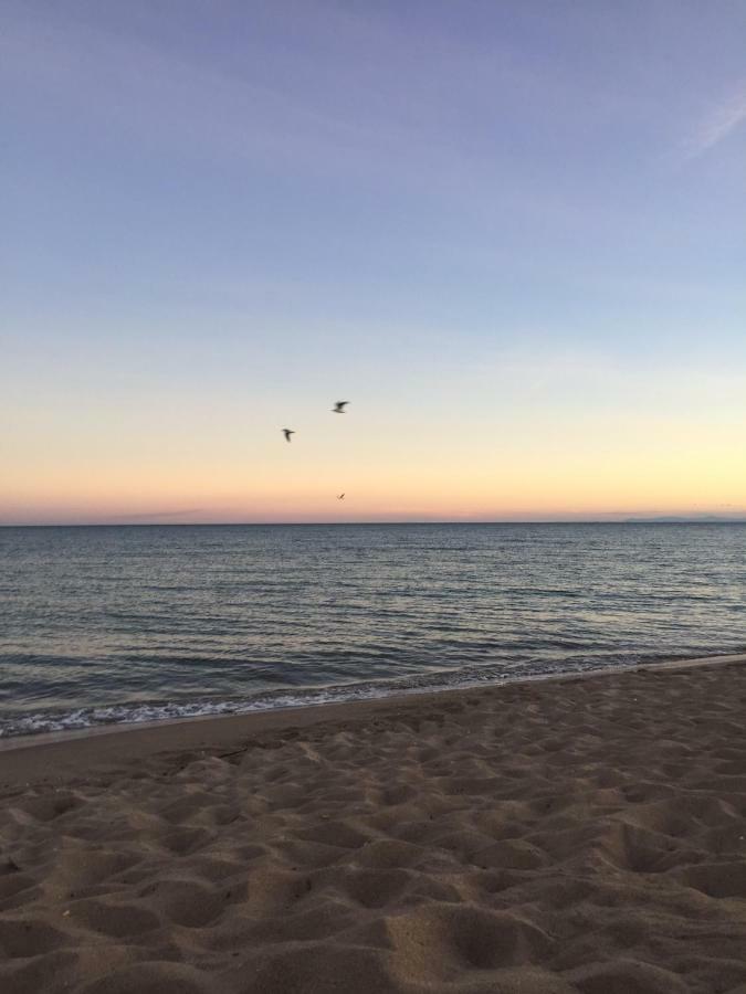 Jm Vacances Sérignan エクステリア 写真